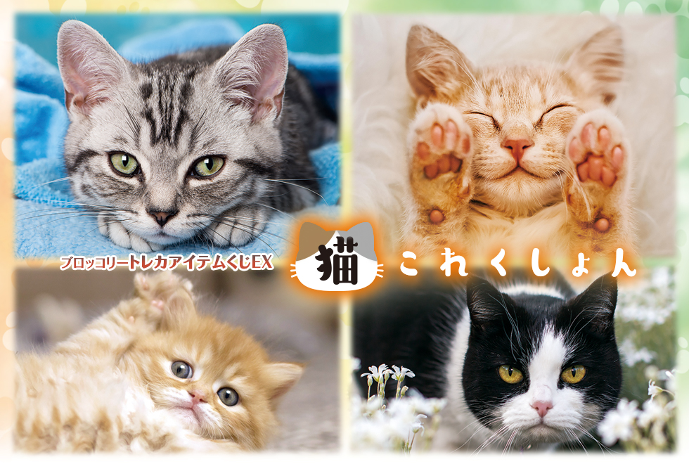 ブロッコリートレカアイテムくじEX「猫これくしょん」