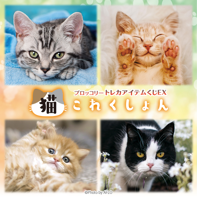ブロッコリートレカアイテムくじEX「猫これくしょん」